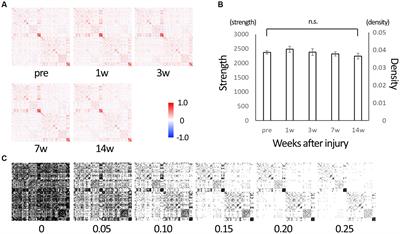 A shift of brain network hub after spinal cord injury